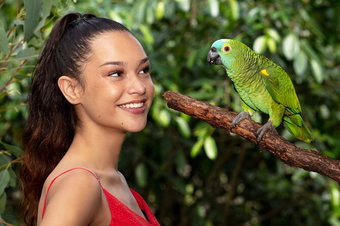Kuranda Wildlife Experience Deluxe Multi Attraction Pass - Birdworld Kuranda: A Flight Aviary With Real Birds Overhead