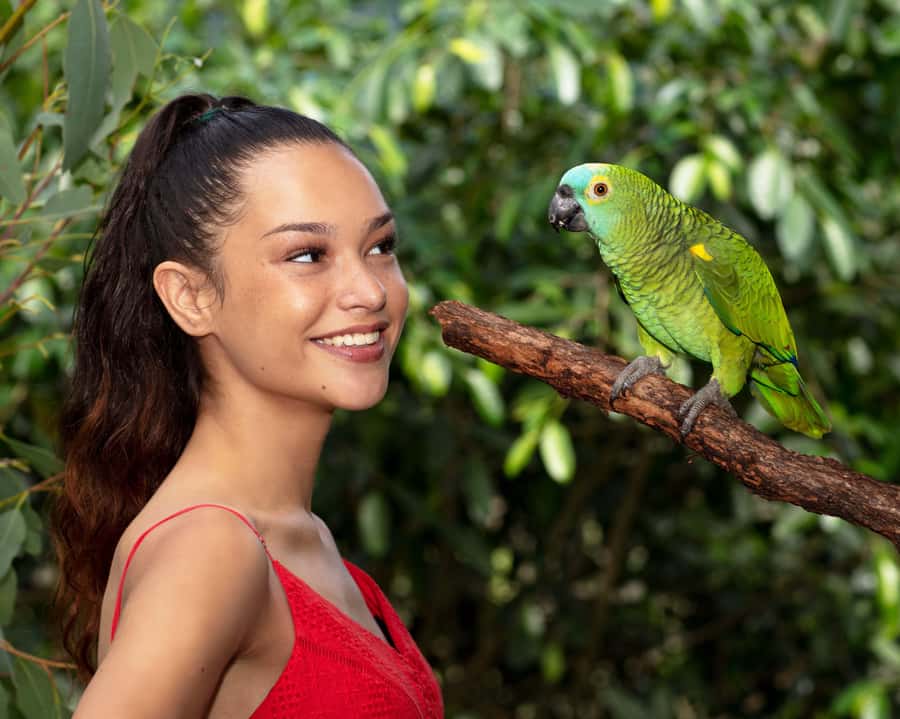Kuranda Wildlife Experience: Koalas, Birds & Butterflies - Birdworld Kuranda: rainforest-style viewing and hand-feeding birds