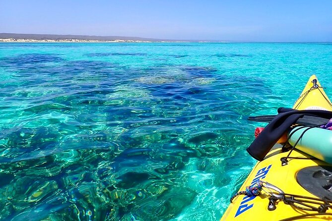 Lagoon Explorer - Ningaloo Reef Full-Day Kayaking and Snorkeling Adventure - Stop 1: Ningaloo Reef—paddle the sheltered lagoons for real wildlife time