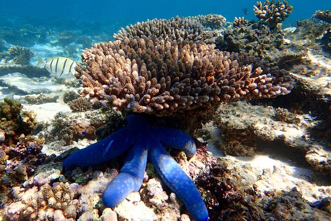 Lagoon Explorer - Ningaloo Reef Full-Day Kayaking and Snorkeling Adventure - Stop 2: Cape Range National Park—tea, lunch, and the downtime that makes it a full day