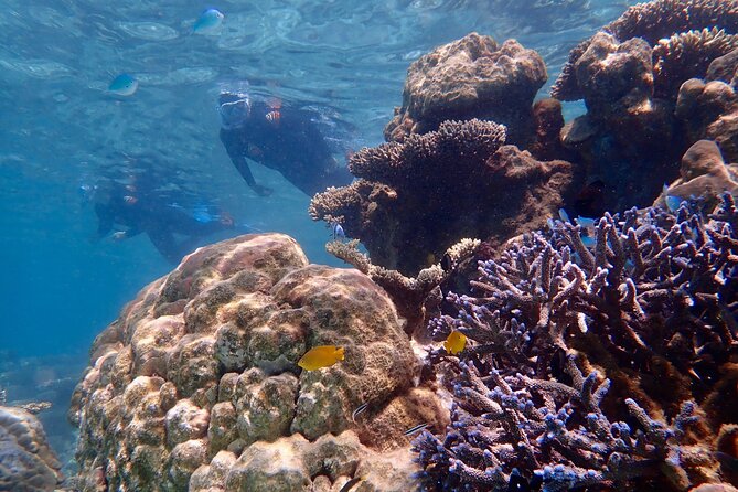 Lagoon Explorer - Ningaloo Reef Full-Day Kayaking and Snorkeling Adventure - Meals, refreshments, and photos: small details that reduce stress