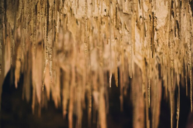 Lake Cave Fully Guided Tour - How the guide shapes the whole tour (and what to listen for)