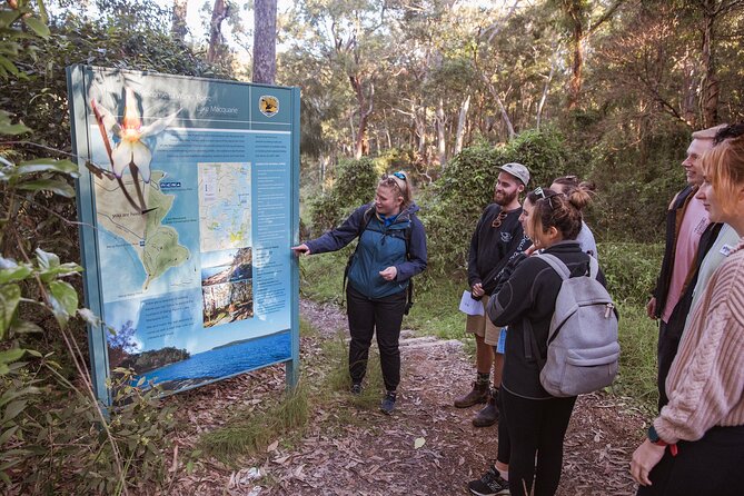 Lake Cruise and Nature Walk in Lake Macquarie - Pulbah Island Nature Reserve: why that lunch viewpoint is a smart choice