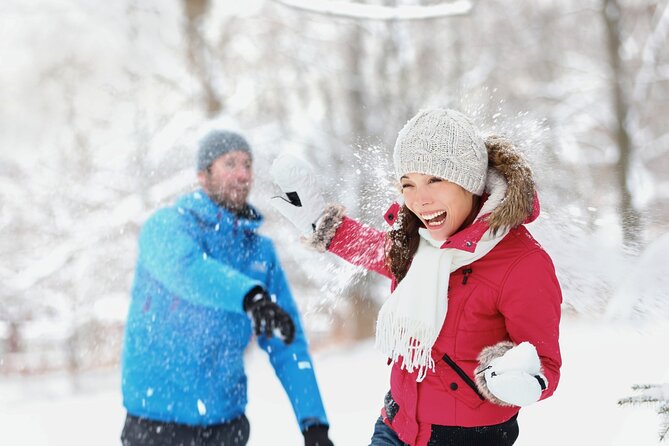 Lake Mountain Snow Tour - Key highlights you’ll feel from the start