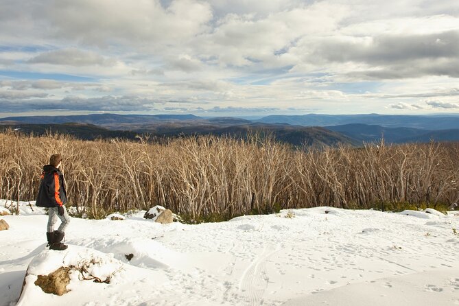 Lake Mountain Snow Tour - Steavenson Falls: 45 minutes that feels calmer than you expect