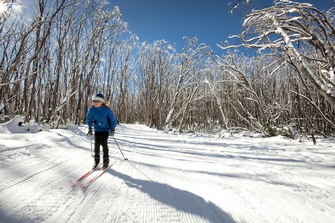 Lake Mountain Snow Trip including Yarra Valley Chocolaterie from Melbourne - Healesville Stop: A Local Lunch Break That Keeps the Day Moving