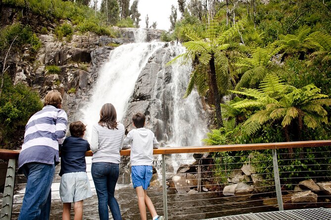 Lake Mountain Snow Trip including Yarra Valley Chocolaterie from Melbourne - Steavenson Falls Near Marysville: The Best Stretch Break on the Route