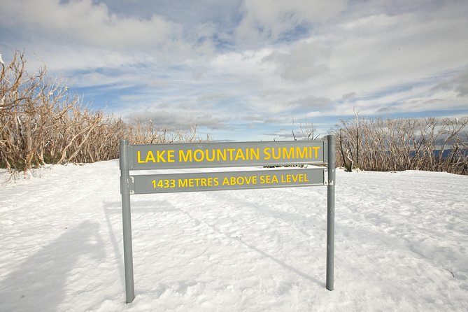 Lake Mountain Snow Trip including Yarra Valley Chocolaterie from Melbourne - What You Really Get for $129.10: Value Beyond the Headline Price