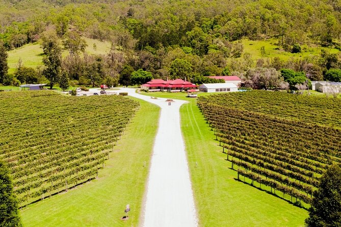 Lamington National Park, O'Reilly's & Vineyard Tour - O’Reilly’s Canungra Valley Vineyards: sparkling wine, alpacas, and where lunch fits in