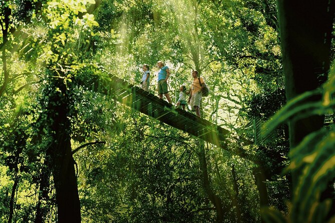 Lamington National Park, O'Reilly's & Vineyard Tour - Canungra stretch break: a small stop that actually helps