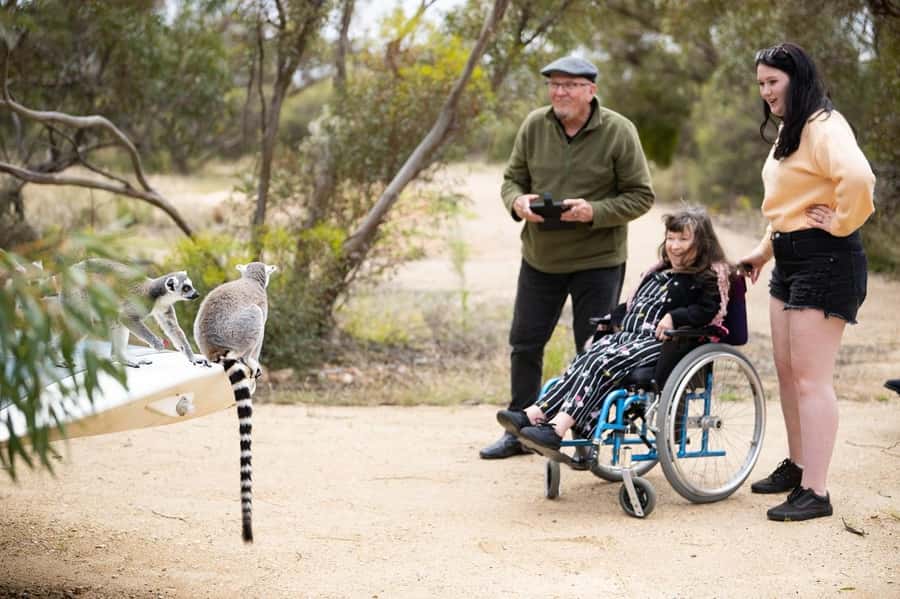 Land of the Lemurs Experience & a Day at Monarto Safari Park - Key moments that make this one worth doing