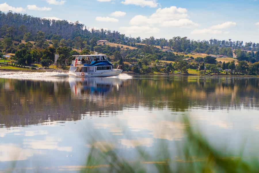 Launceston: 4-Hour Batman Bridge Luncheon Cruise - Key things to plan for on this Batman Bridge cruise