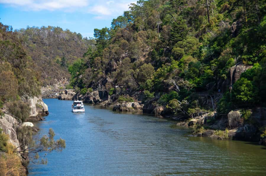 Launceston: 4-Hour Batman Bridge Luncheon Cruise - Tamar Valley inlets: where wildlife watching becomes the main event