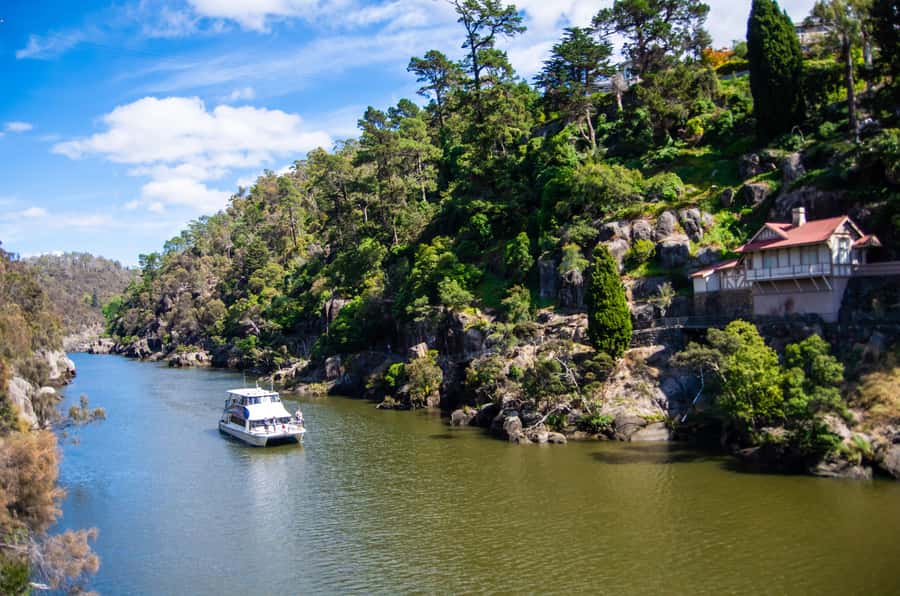 Launceston: 4-Hour Batman Bridge Luncheon Cruise - Passing under the Batman Bridge and through Whirlpool Reach