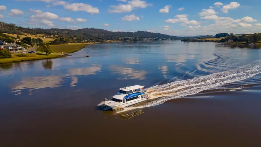 Launceston: 4-Hour Batman Bridge Luncheon Cruise - Comfort, timing, and what to bring for a better 4 hours