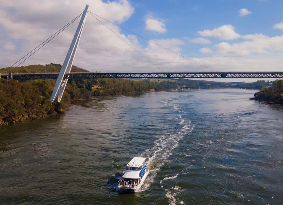 Launceston: 4-Hour Batman Bridge Luncheon Cruise - Morning tea plus river history: the relaxed start that sets the tone