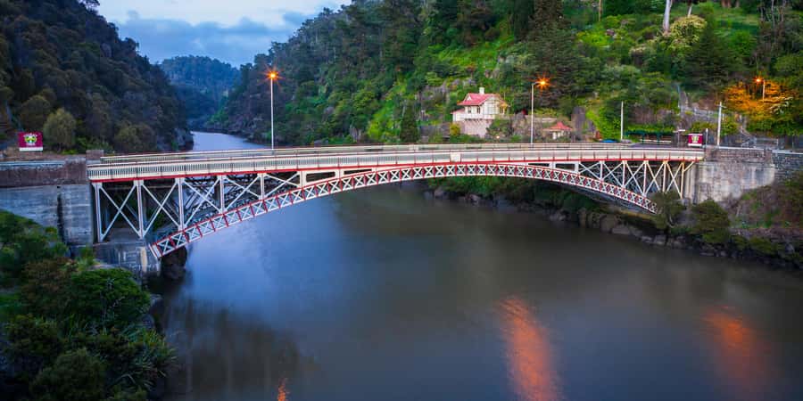 Launceston: Cataract Gorge Adventure Cruise Open Ticket - From the boardwalk to the river: what you’ll see before the gorge