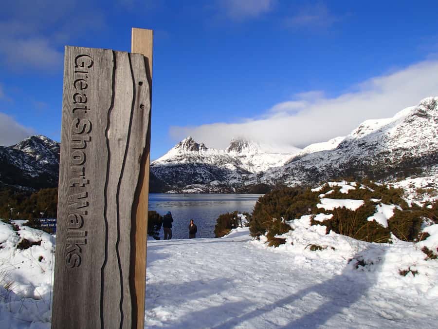 Launceston: Cradle Mountain Guided Active Day Trip - Wildlife breaks: where the guide’s timing really helps