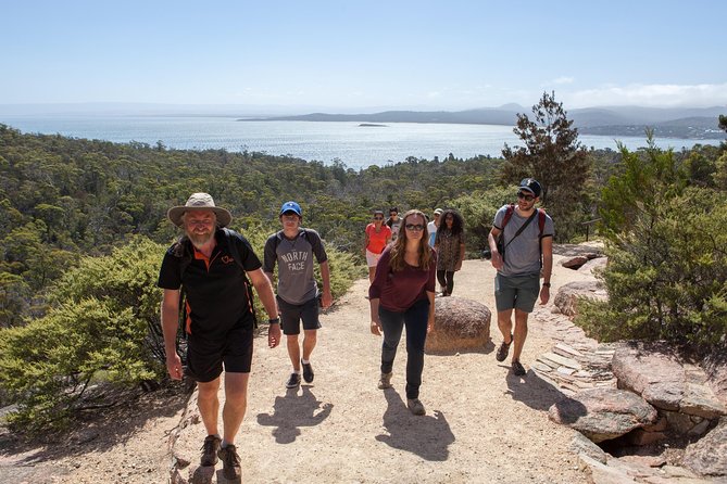 Launceston: Freycinet & Wineglass Bay Explorer Day Trip - Key highlights at a glance