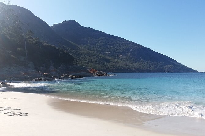 Launceston: Freycinet & Wineglass Bay Explorer Day Trip - Price and value: what the $125.52 covers (and what it doesn’t)