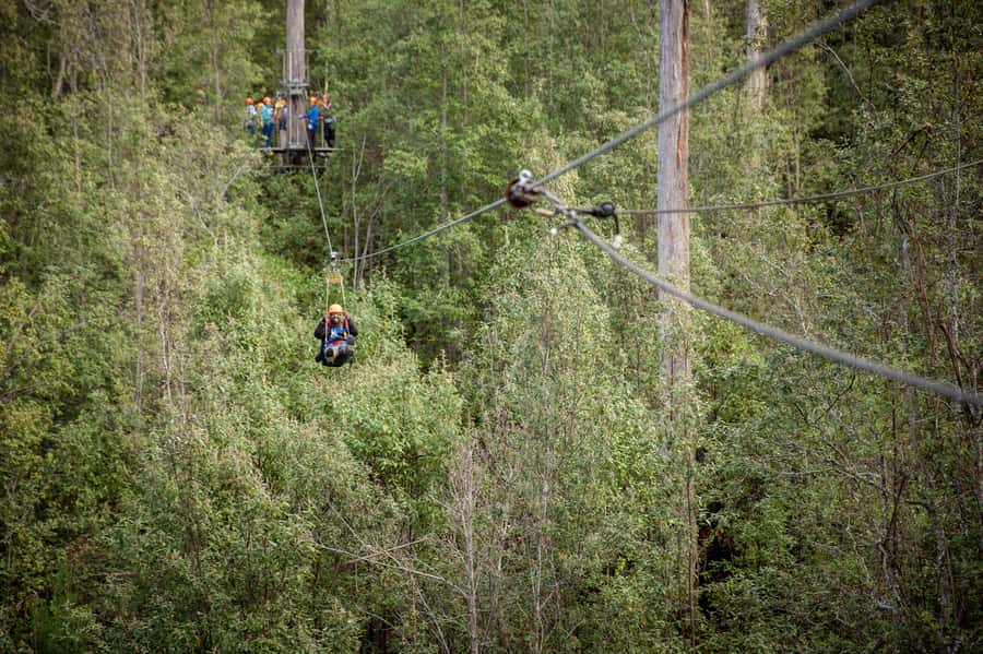 Launceston: Hollybank Forest Treetop Zip Lining with Guide - The Six-Run Circuit: What Each Stage Feels Like