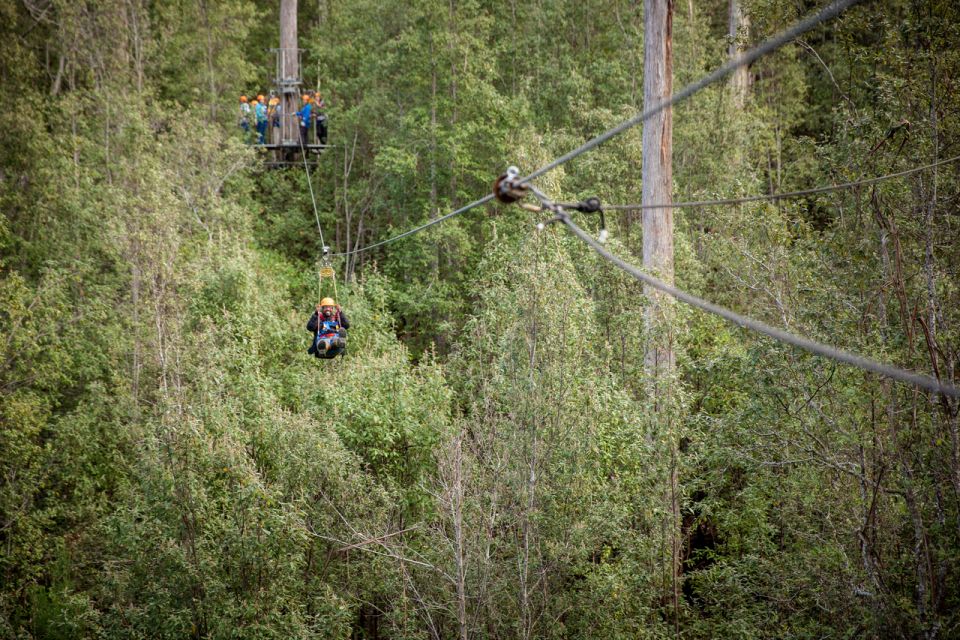 Launceston: Hollybank Forest Treetop Zip Lining with Guide - Safety, Weight Rules, and Clothing: Read This Like a Checklist