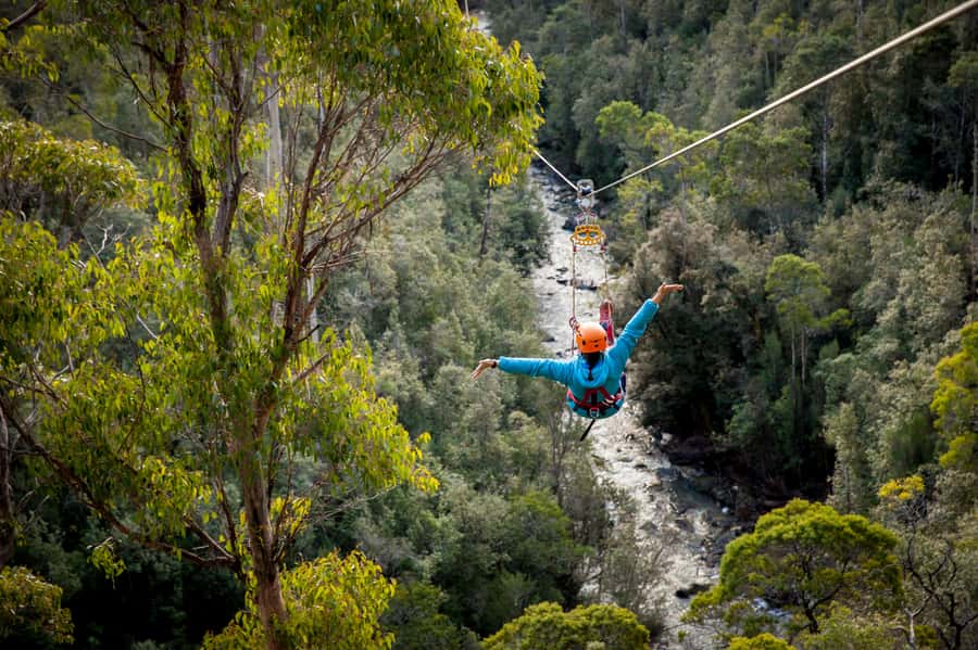 Launceston: Hollybank Forest Treetop Zip Lining with Guide - Meet the Guide and Get Strapped In Without Guesswork