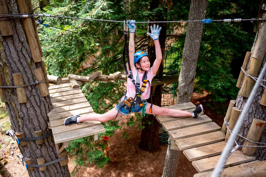 Launceston: Hollybank Tree Ropes Course - Key things to know before you go