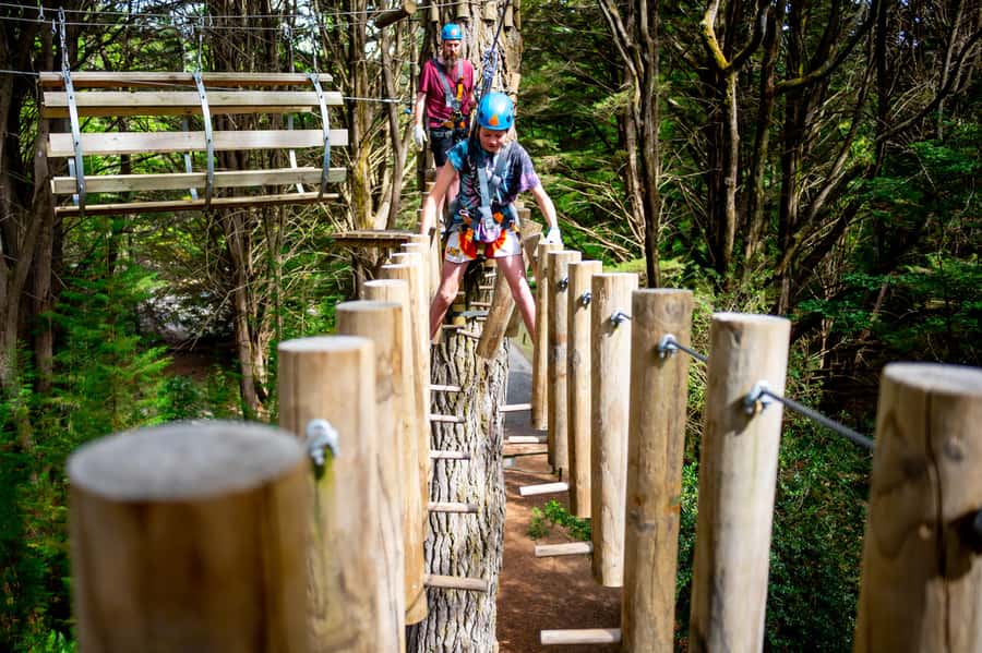 Launceston: Hollybank Tree Ropes Course - Hollybank Tree Ropes Course: an outdoor challenge in northern Tasmania