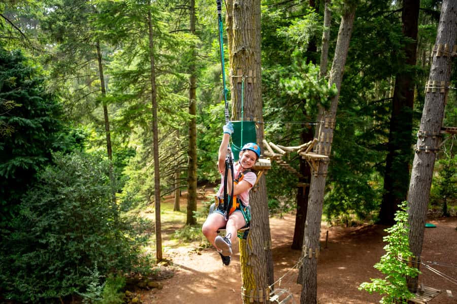 Launceston: Hollybank Tree Ropes Course - The obstacle mix: wobbly bridges, tight ropes, and net crawl work