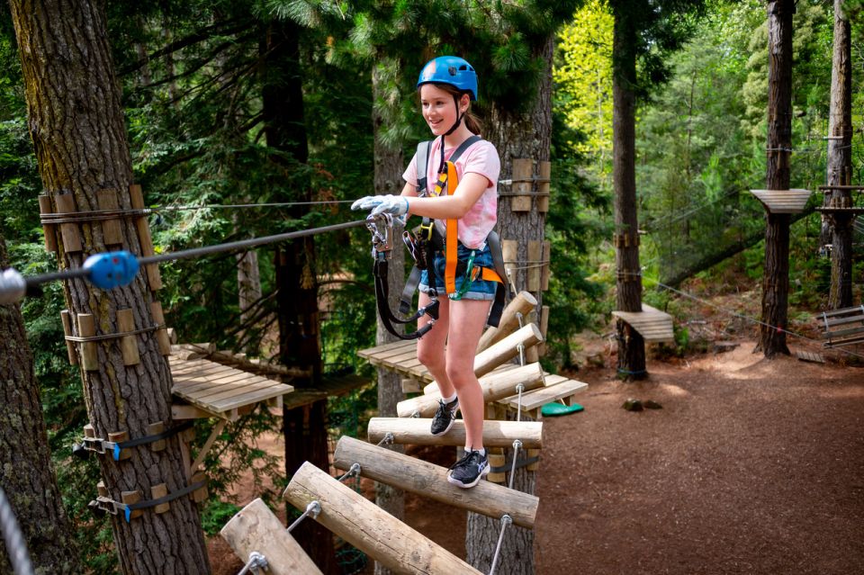 Launceston: Hollybank Tree Ropes Course - Practical tips to make your day smoother