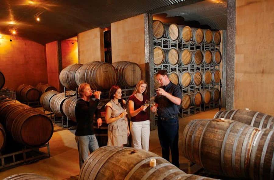 Launceston: Tamar Valley Wine Tour with Lunch - Launceston’s Tamar Valley loop: why this tour works