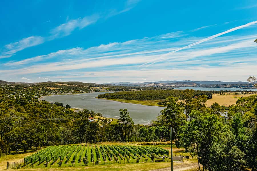 Launceston: Tamar Valley Wine Tour with Lunch - Lunch with Tamar Valley wine: what you’re really paying for