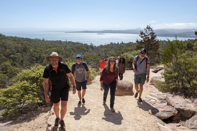 Launceston to Hobart via Wineglass Bay - Active Tour - Quick take: what makes this tour worth it