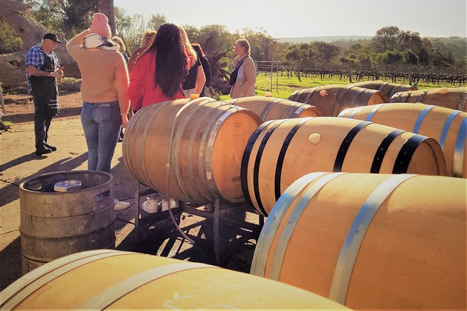 Leeuwin Estate Immersion Experience - The Art Gallery stop: what the labels mean beyond the bottle