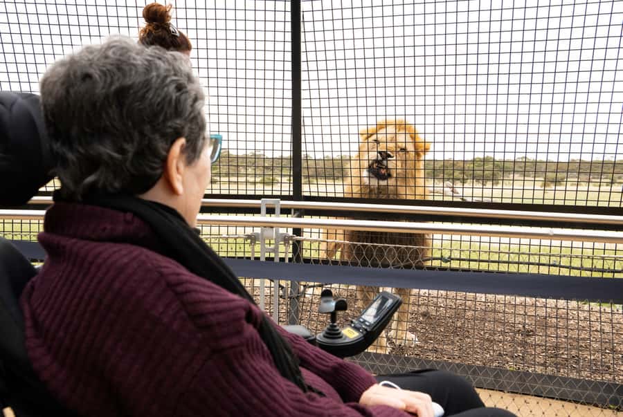 Lions 360 Experience and a Day at Monarto Safari Park - Key points to know before you go