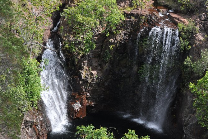 Litchfield and Jumping Crocodiles Full Day Trip from Darwin - Key highlights at a glance