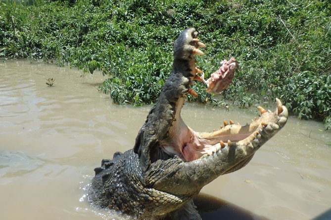 Litchfield and Jumping Crocodiles Full Day Trip from Darwin - Wangi Falls swim time and picnic lunch (what to expect)