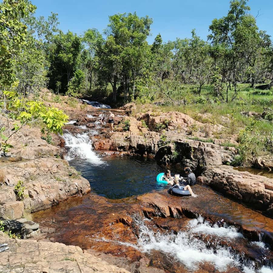 Litchfield & Berry Springs, Premium tour, 10 guests & lunch - Driving in between: savanna views and a quick Batchelor break