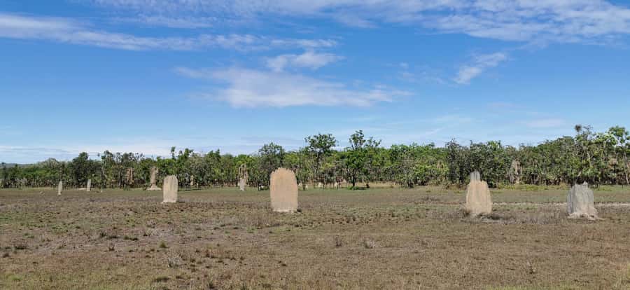 Litchfield & Berry Springs, Premium tour, 10 guests & lunch - Lunch, snacks, and what “premium” means on the ground
