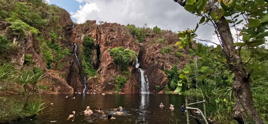 Litchfield & Berry Springs, Premium tour, 10 guests & lunch - Premium small-group comfort: 10 guests, pickup, and an air-conditioned minivan