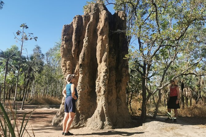 Litchfield National Park Day Tour & Berry Springs, Max 11 Guests - Price and value: what $154.21 really covers