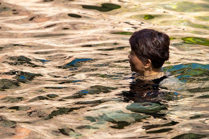 Litchfield National Park Day Tour from Darwin - Wangi Falls: the most accessible swim stop
