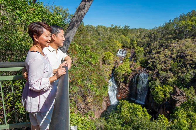 Litchfield National Park Day Tour from Darwin - Magnetic Termite Mounds: the 20-minute science stop