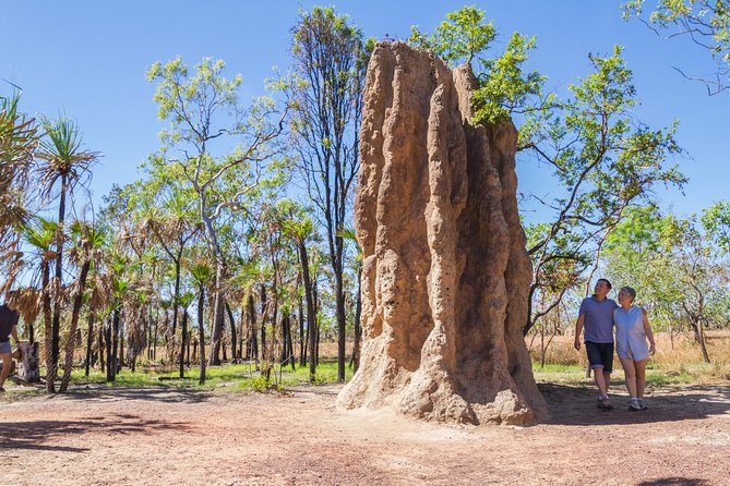 Litchfield National Park Day Tour from Darwin - Lunch at Litchfield Café: included food, mixed expectations