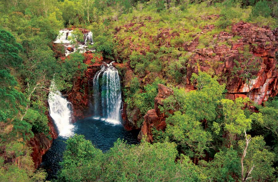 Litchfield National Park: Full-Day & Lunch from Darwin - Price and Value: What You’re Paying For at $176