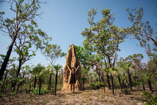 Litchfield National Park Tour with Wetlands or Crocodile Cruise - Pick Your Wildlife Stop: Jumping Croc Cruise or Fogg Dam