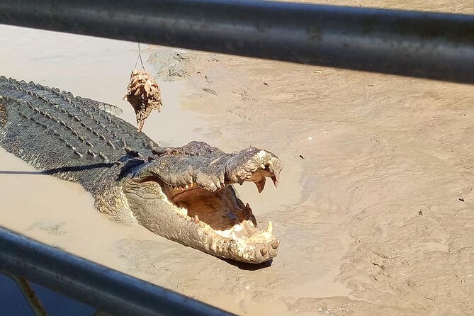 Litchfield National Park Tour with Wetlands or Crocodile Cruise - Buley Rockhole and Wangi Falls: The Best Cooling-Off Stops
