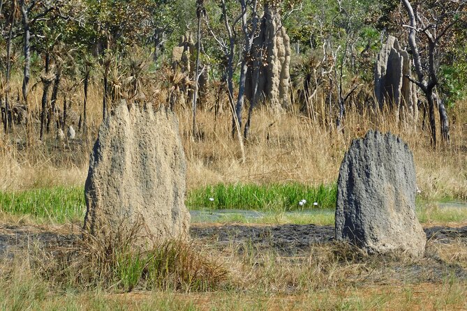 Litchfield Park & Jumping Crocodile Cruise - A Darwin-to-Litchfield Day Trip That Feels Like Two Worlds
