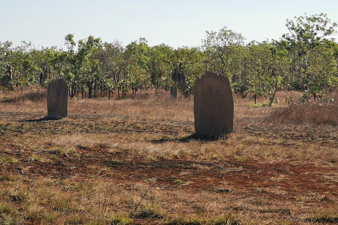 Litchfield Premium Day Tour, 10 guests only, lunch included - A micro-group Litchfield day built around 8:00am timing